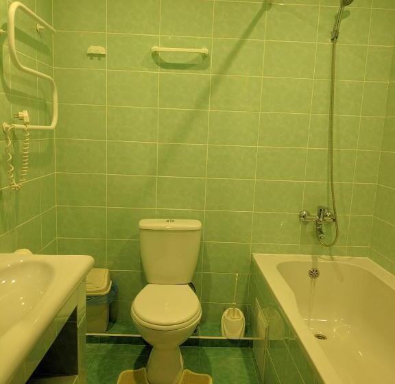 חדר סופריור יחיד, Zhyttedar