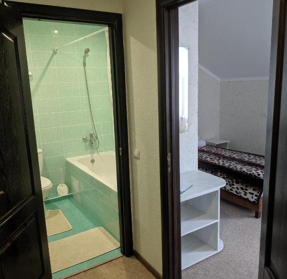 חדר סופריור יחיד, Zhyttedar