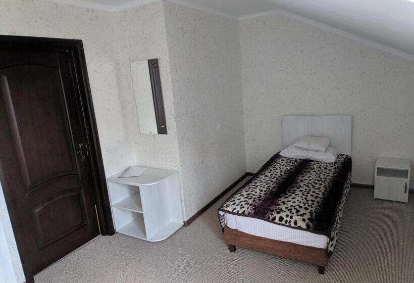 חדר סופריור יחיד, Zhyttedar