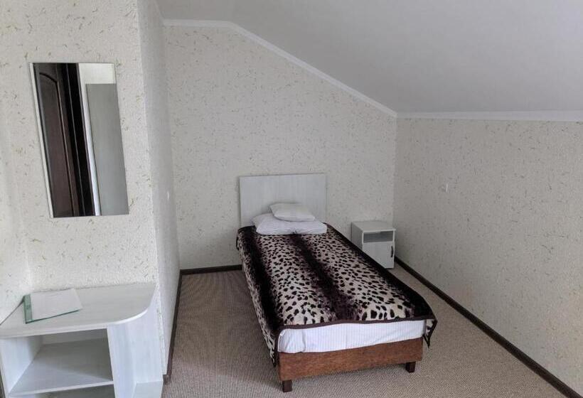 חדר סופריור יחיד, Zhyttedar