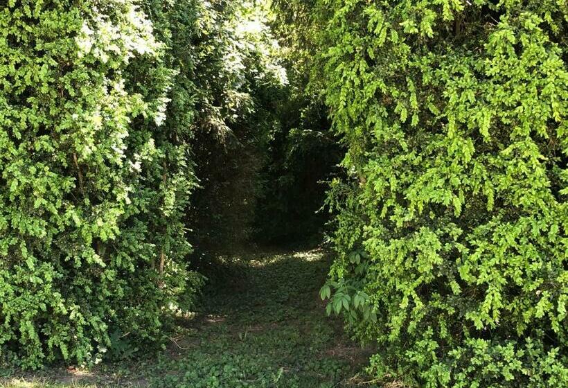 غرفة قياسية مطلّة علي حمام السباحة, Le Baptistère   Adults Only