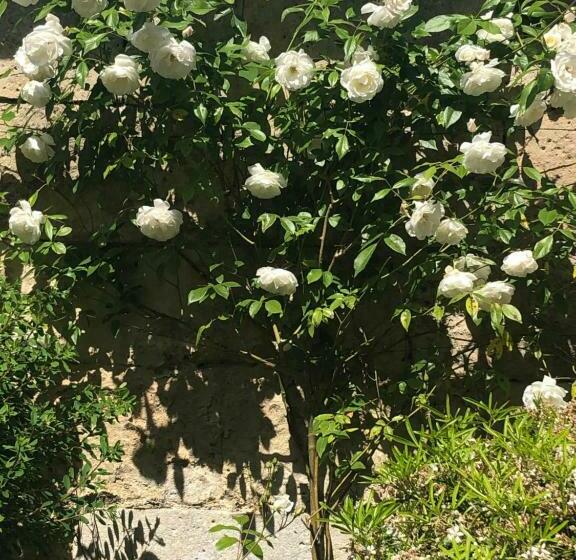 غرفة قياسية مطلّة علي حمام السباحة, Le Baptistère   Adults Only