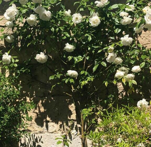 غرفة ديلوكس, Le Baptistère   Adults Only