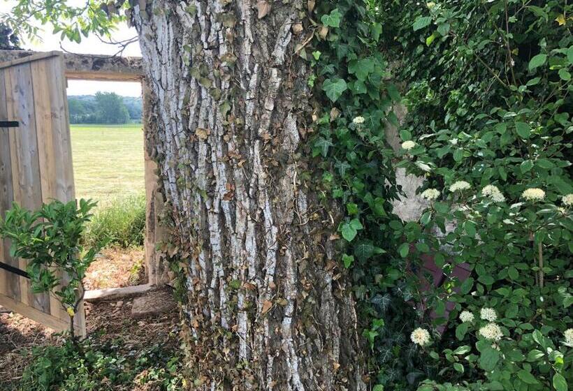 جناح ديلوكس, Le Baptistère   Adults Only