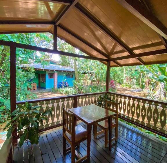 Номер Стандарт, Andrea Cristina