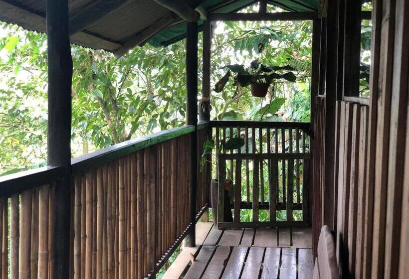 Семейный Номер, Andrea Cristina