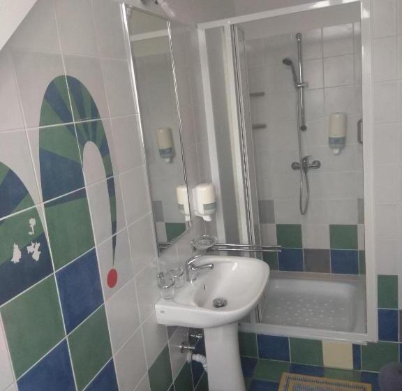 חדר סטנדרט, Statek Olšany