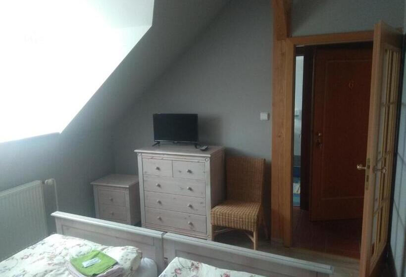 חדר סטנדרט, Statek Olšany