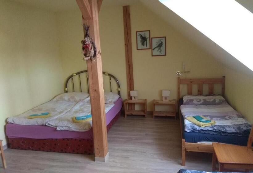 חדר סטנדרט לשלושה, Statek Olšany