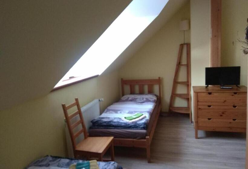 חדר סטנדרט לשלושה, Statek Olšany