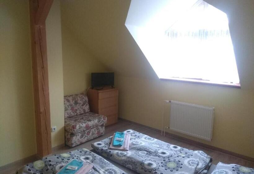 חדר סטנדרט, Statek Olšany