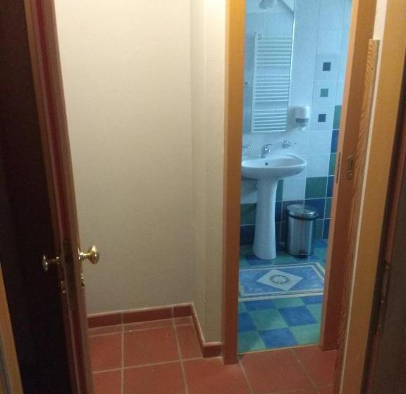 חדר סטנדרט, Statek Olšany