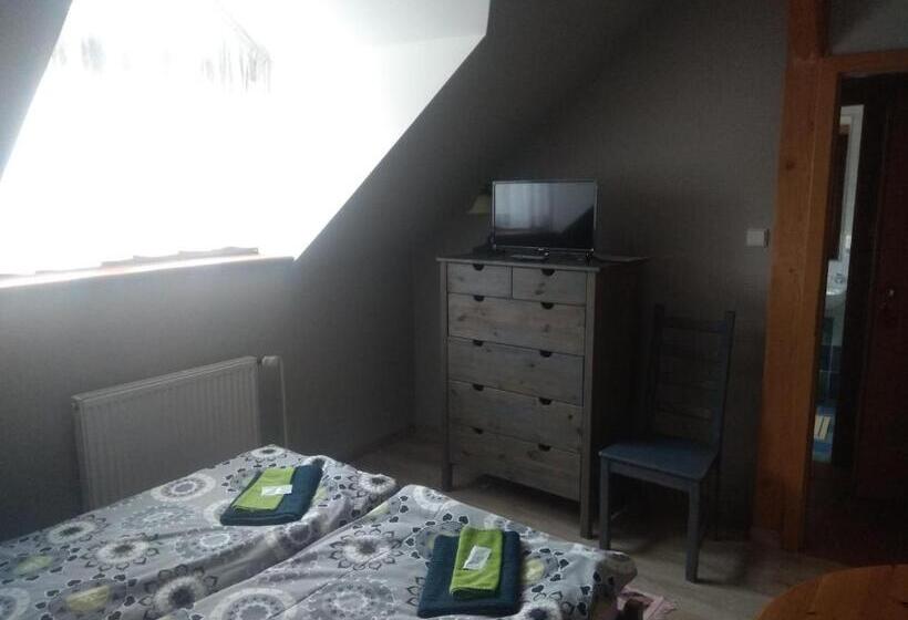 חדר סטנדרט, Statek Olšany