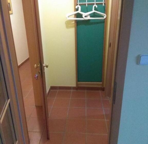 Номер Стандарт, Statek Olšany