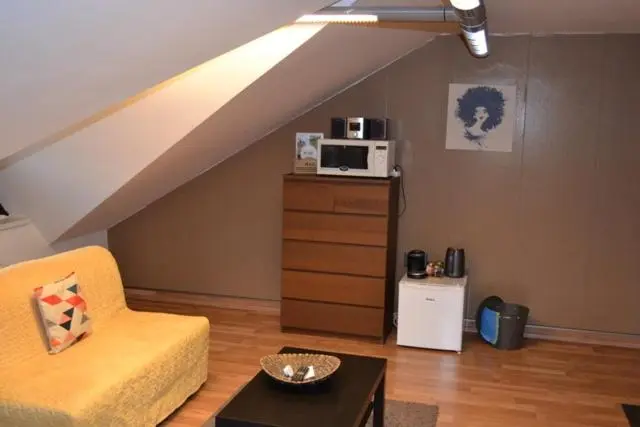 コンフォートトリプルルーム, Apartment Roci