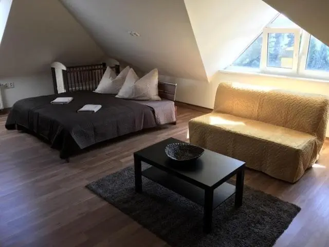 コンフォートトリプルルーム, Apartment Roci