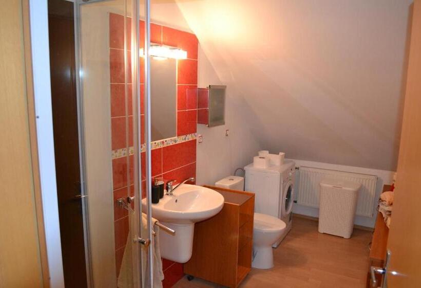 חדר סטנדרט לארבעה, Apartment Roci