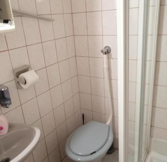 Номер Стандарт, Flamingó Panzió étterem