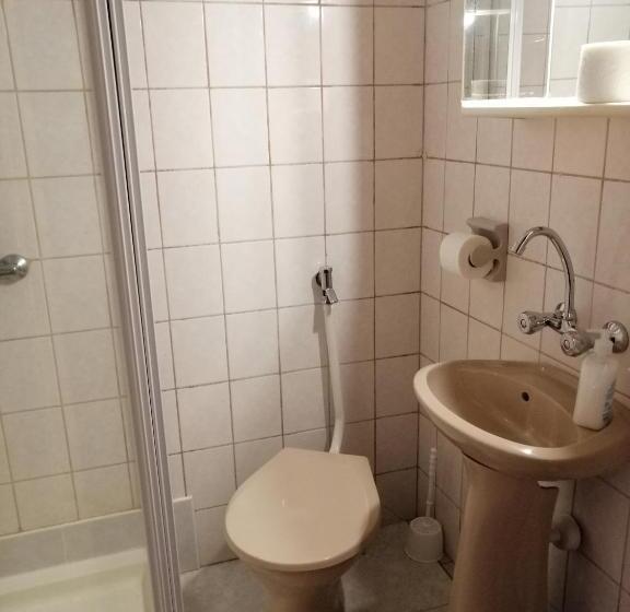 Номер Стандарт, Flamingó Panzió étterem