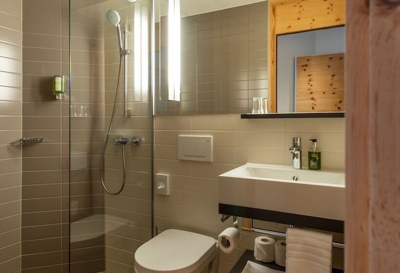 חדר סטנדרט יחיד, Schweizerhof Sils Maria