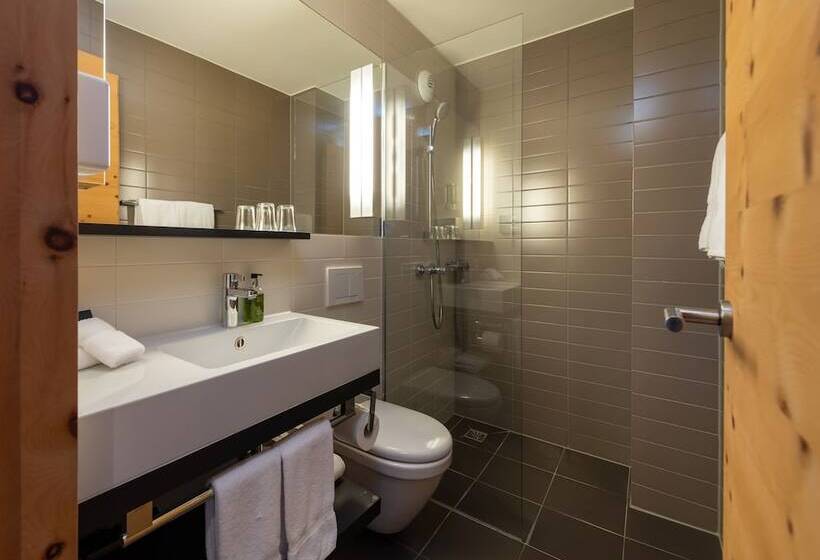 חדר אקונומי, Schweizerhof Sils Maria