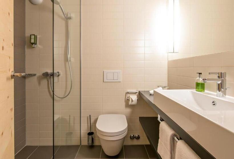 חדר סטנדרט יחיד, Schweizerhof Sils Maria