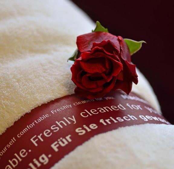 חדר סטנדרט יחיד, Comfort Hotel Tom Kyle