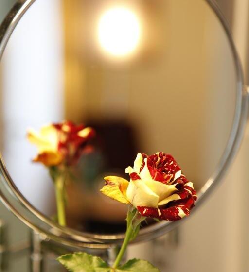 חדר אקונומי יחיד, Comfort Hotel Tom Kyle