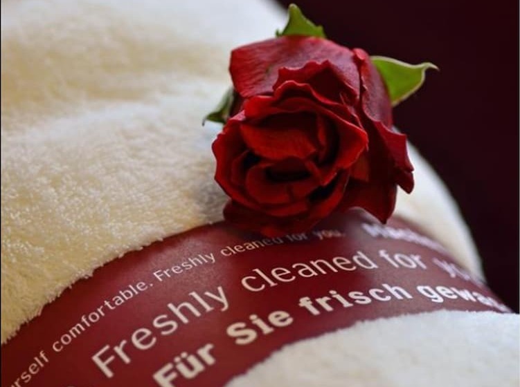 חדר סטנדרט יחיד, Comfort Hotel Tom Kyle