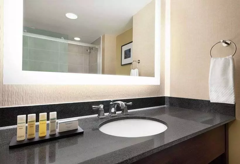 スイート, Embassy Suites By Hilton Cleveland Rockside