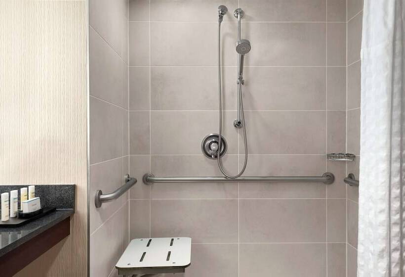 Люкс Адаптированный для Инвалидов, Embassy Suites By Hilton Cleveland Rockside