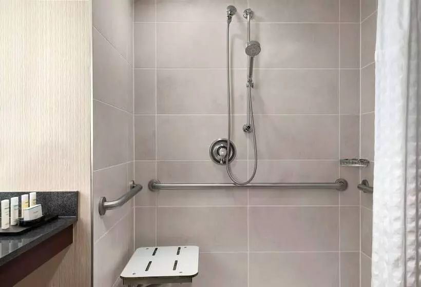身障者適用スイートルーム, Embassy Suites By Hilton Cleveland Rockside
