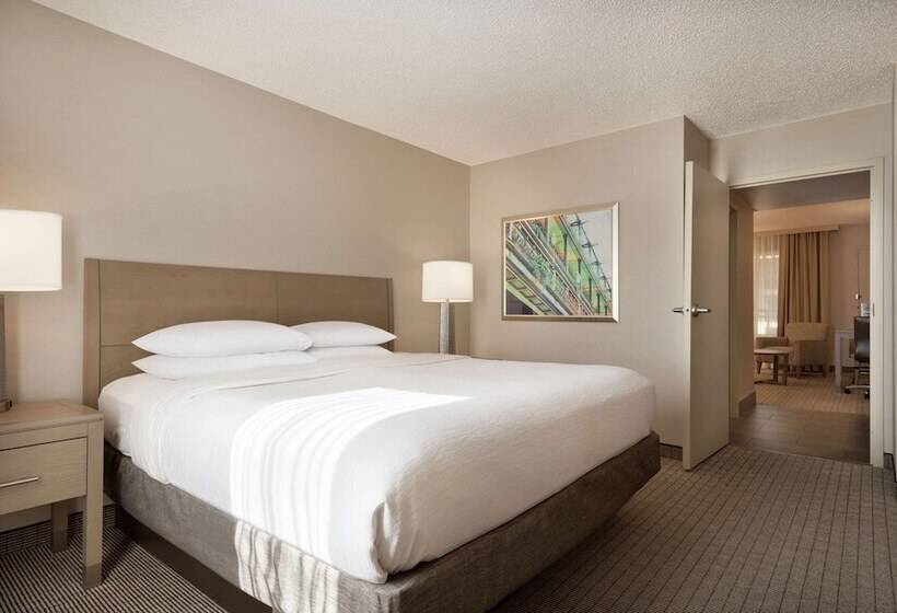 Люкс Адаптированный для Инвалидов, Embassy Suites By Hilton Cleveland Rockside