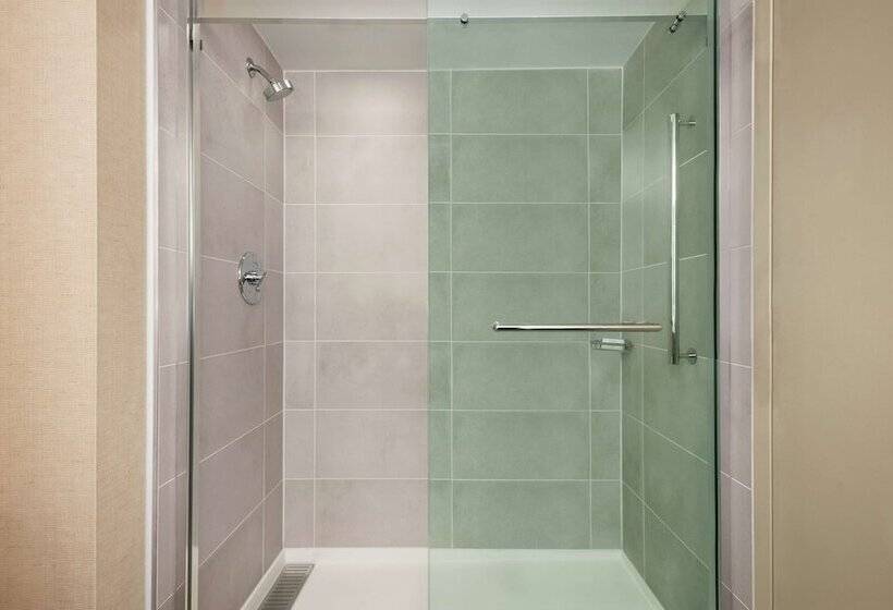 Люкс Адаптированный для Инвалидов, Embassy Suites By Hilton Cleveland Rockside