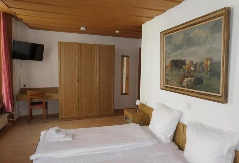 Habitació Comfort, Franziskaner