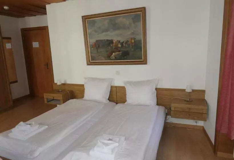 Habitació Comfort, Franziskaner