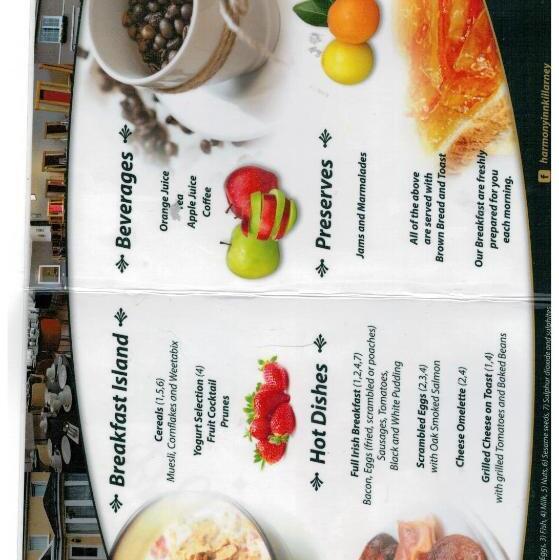 غرفة قياسية فردية, Harmony Inn   Glena House