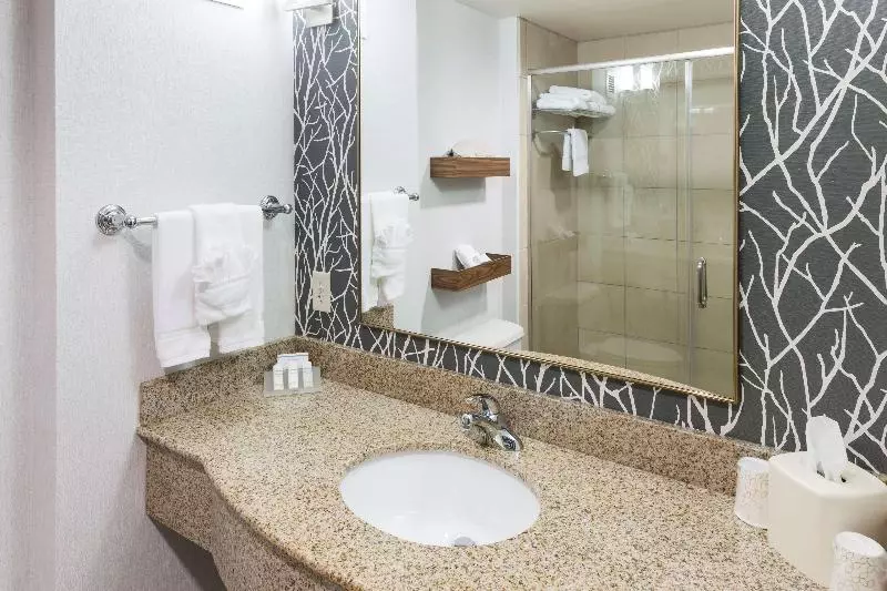 اتاق استاندارد با تخت بزرگ, Hilton Garden Inn Austin North