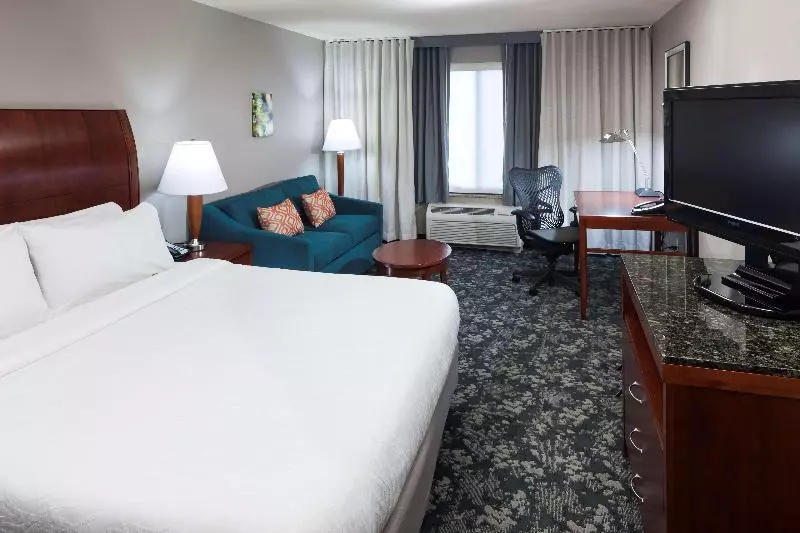 اتاق استاندارد با تخت بزرگ, Hilton Garden Inn Austin North