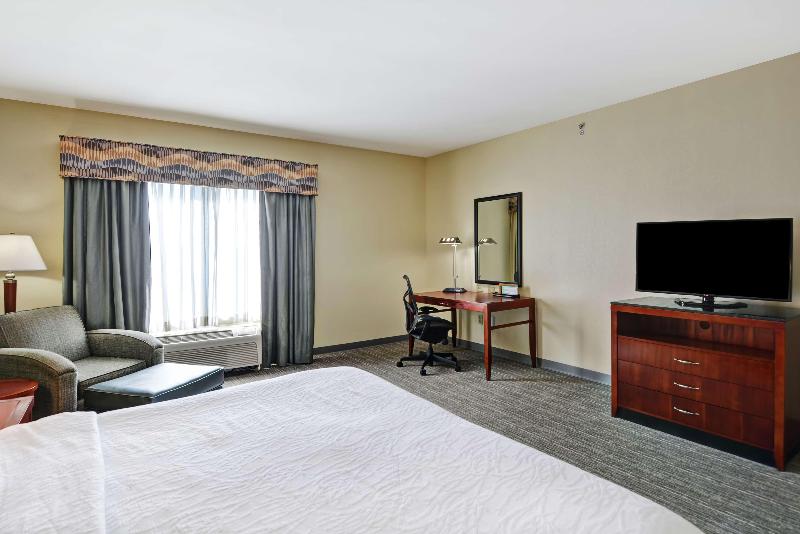 스탠다드 룸 킹사이즈 침대, Hilton Garden Inn Conway