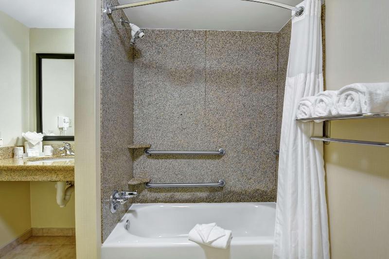 스탠다드 룸 킹사이즈 침대, Hilton Garden Inn Conway