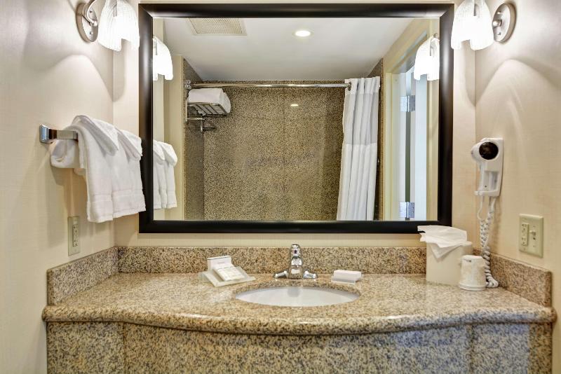 스탠다드 룸 킹사이즈 침대, Hilton Garden Inn Conway