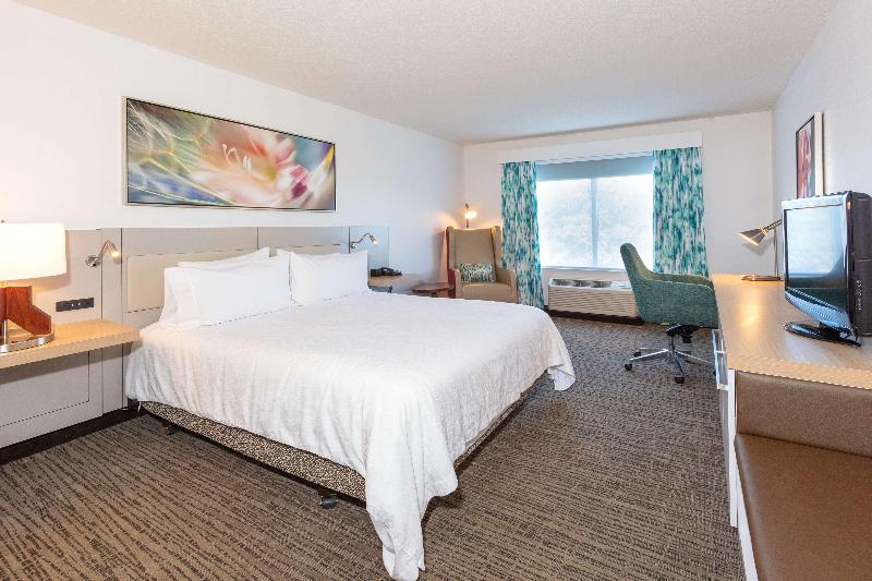 חדר סטנדרט עם מיטת קינג, Hilton Garden Inn Daytona Beach Airport