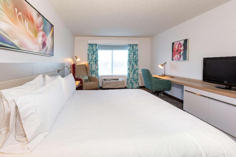 스탠다드 룸 킹사이즈 침대, Hilton Garden Inn Daytona Beach Airport