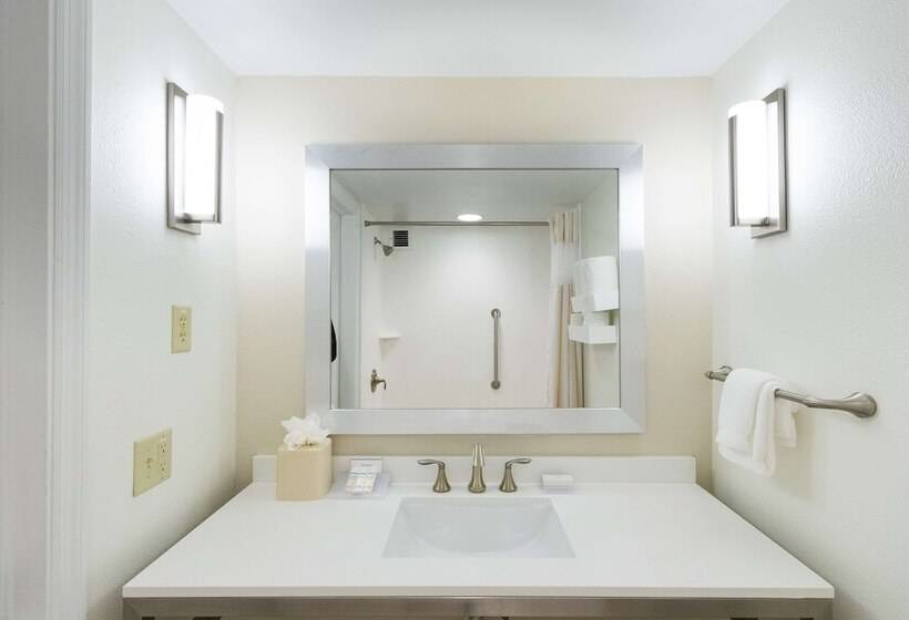 חדר סטנדרט, Hilton Garden Inn Daytona Beach Airport