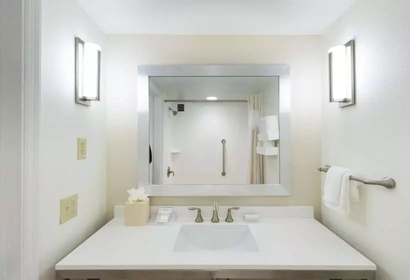 Standard-huone, Hilton Garden Inn Daytona Beach Airport
