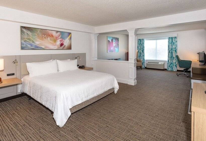 סוויטת ג'וניור, Hilton Garden Inn Daytona Beach Airport