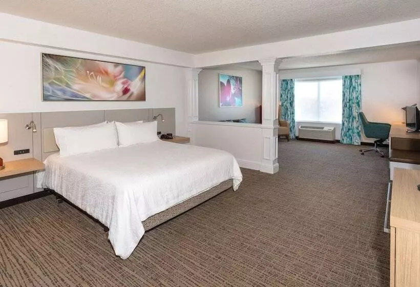 Juniorsviitti, Hilton Garden Inn Daytona Beach Airport