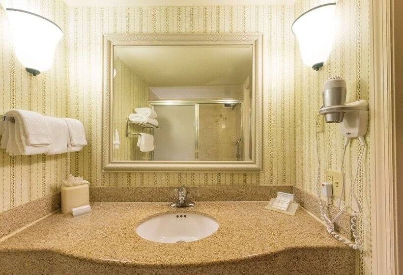 סוויטה עם ג'קוזי, Hilton Garden Inn Daytona Beach Airport