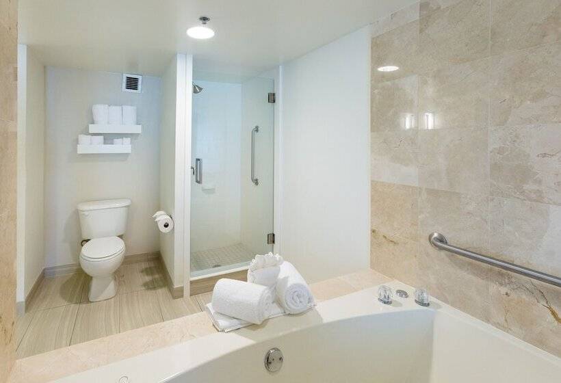 סוויטה עם ג'קוזי, Hilton Garden Inn Daytona Beach Airport